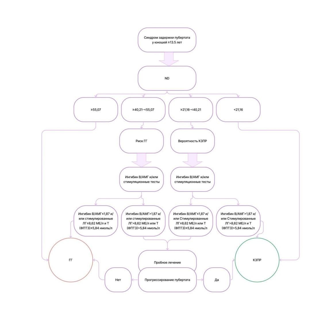 Картинка алгоритм